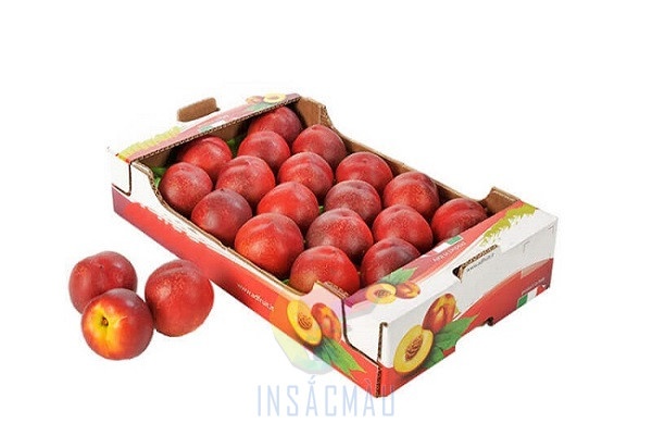 Khay Giấy Đựng Hoa Quả, Trái Cây