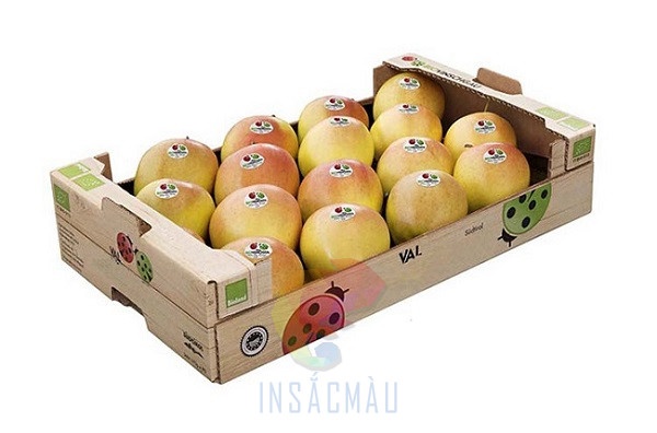 Khay Giấy Đựng Hoa Quả, Trái Cây 24 Khay giấy đựng trái cây để trưng bày