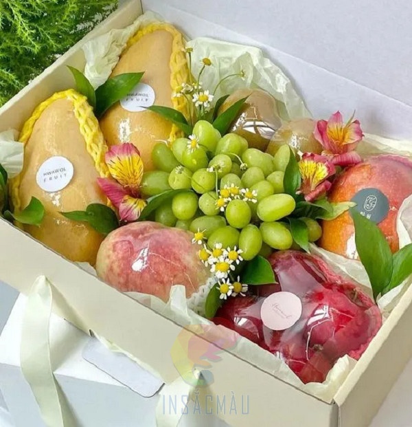 Khay Giấy Đựng Hoa Quả, Trái Cây