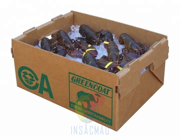 Thùng Carton Chống Thấm 8 Thùng carton chống thấm đựng thủy hải sản
