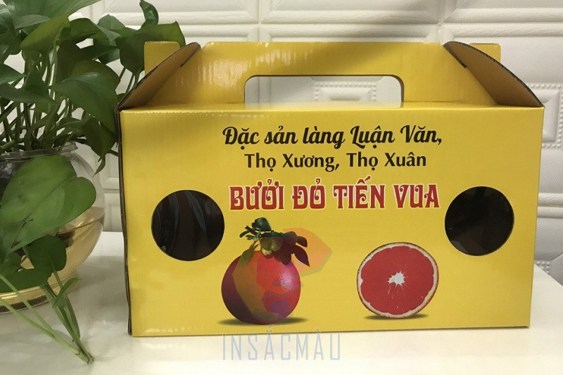 Hộp Carton Có Quai Xách