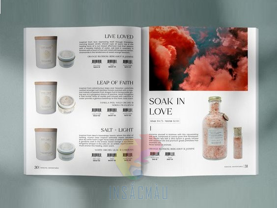 Sự Khác Biệt Giữa Brochure và Catalogue 13 Nội dung và độ chi tiết của brochure và catalogue