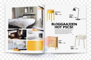 brochure và catalogue