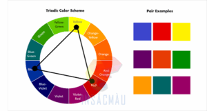 phối màu trong thiết kế catalogue