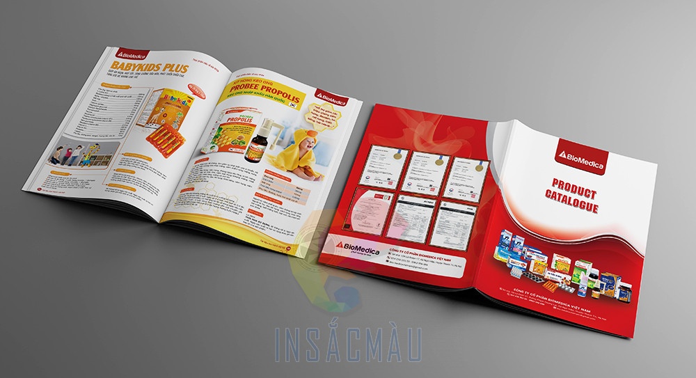 Catalogue là gì