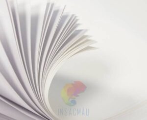 giấy in brochure