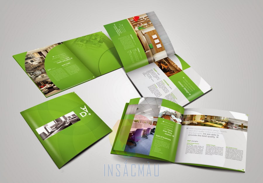 Nội dung catalogue cơ bản