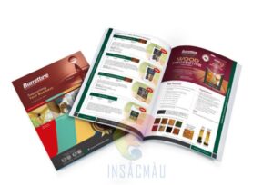 nội dung catalogue