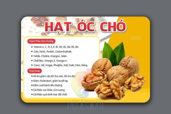 Mẫu tem óc chó hình chữ nhật bằng decal nhựa