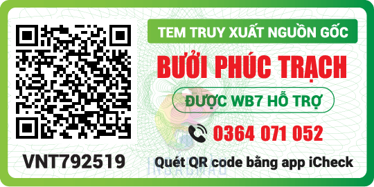 Hướng dẫn kiểm tra tem truy xuất nguồn gốc