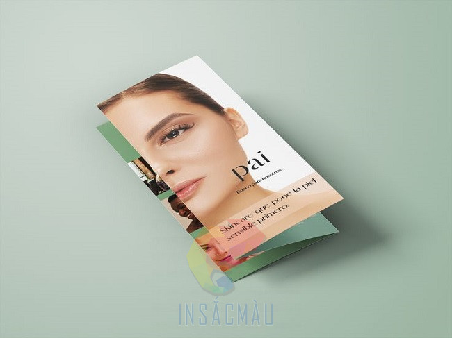 Brochure spa là gì?