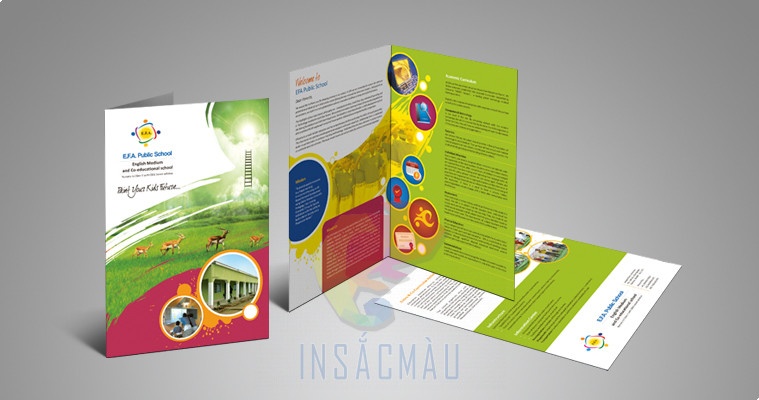 22+ Mẫu brochure trung tâm tiếng Anh ấn tượng, chuyên nghiệp 15 Mẫu brochure trung tâm tiếng Anh đẹp