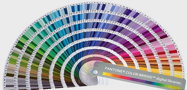 Hệ màu Pantone
