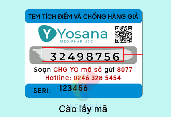 In Tem Tích Điểm