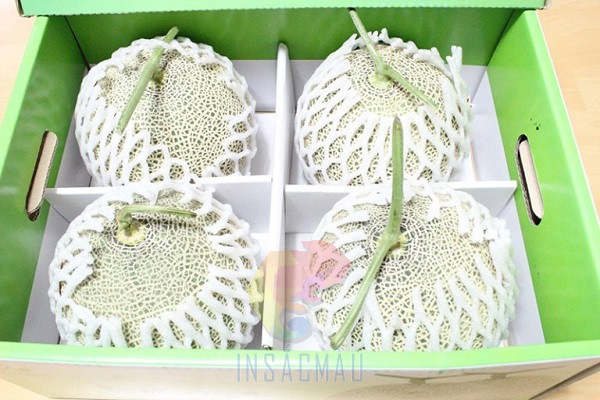 Mẫu thùng carton đựng trái cây