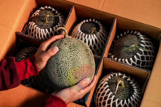 Mẫu thùng carton có vách ngăn đựng thực phẩm