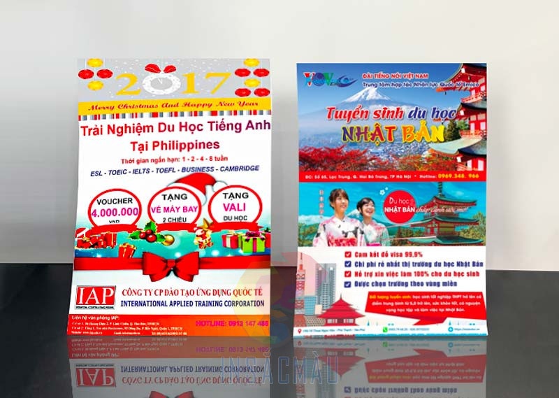 36+ Mẫu Tờ Rơi Du Học Đẹp, Thiết Kế Sáng Tạo, Chuyên Nghiệp 39 tờ rơi du học