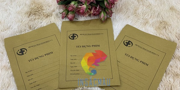 Bao Thư X Quang 20 Mẫu bao thư, túi đựng phim quang