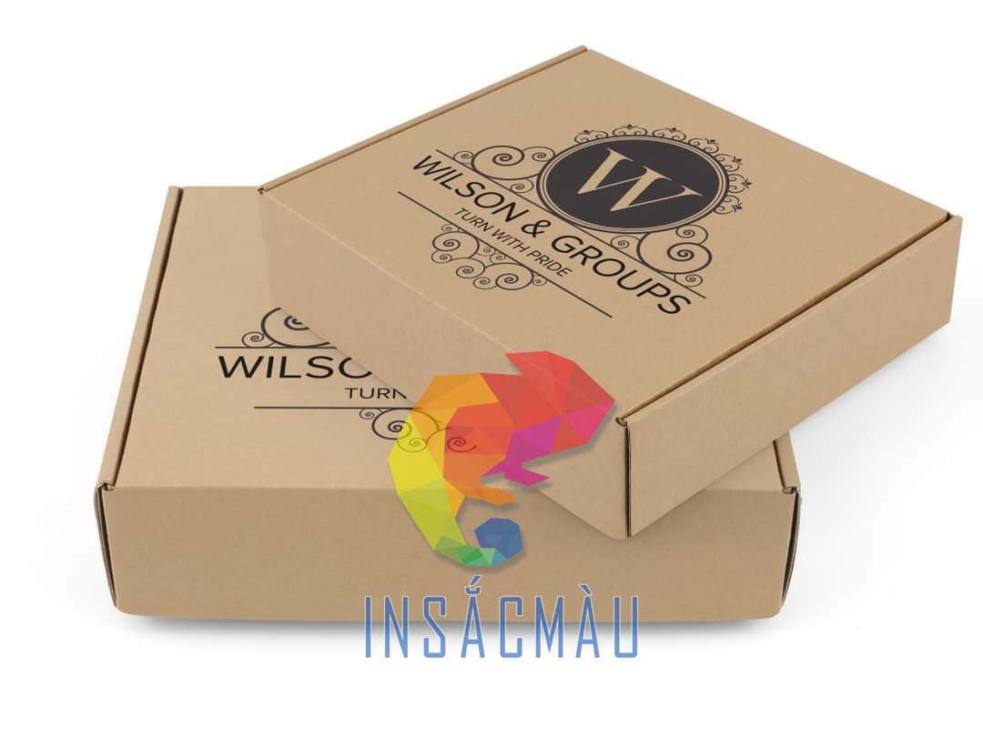 Mẫu hộp carton in logo