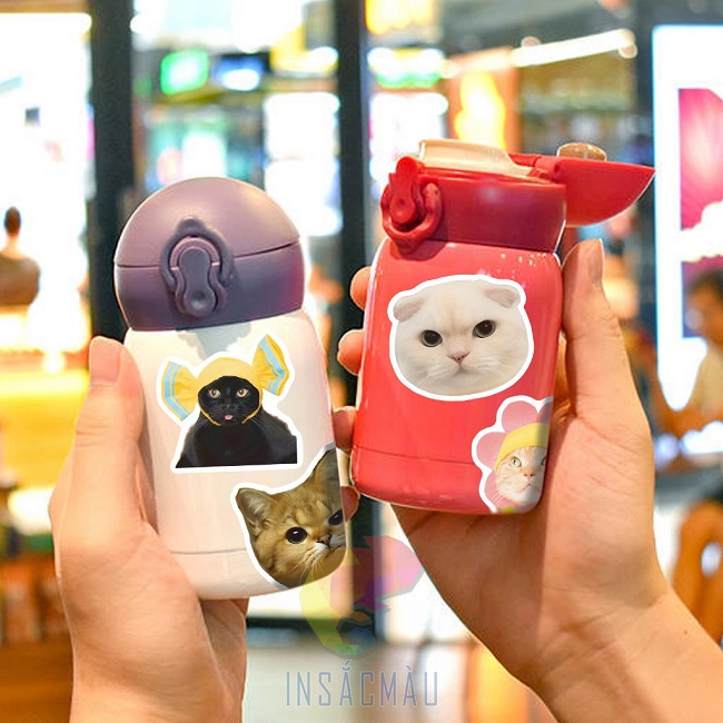 Mẫu sticker mèo cute trang trí bình nước