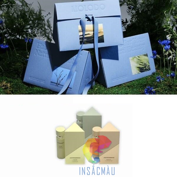 Mẫu hộp giấy tam giác đẹp, thiết kế sang trọng