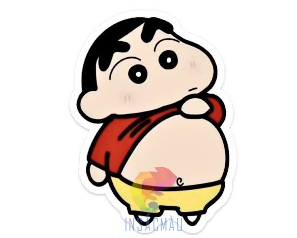 Mẫu sticker Shin bụng bự