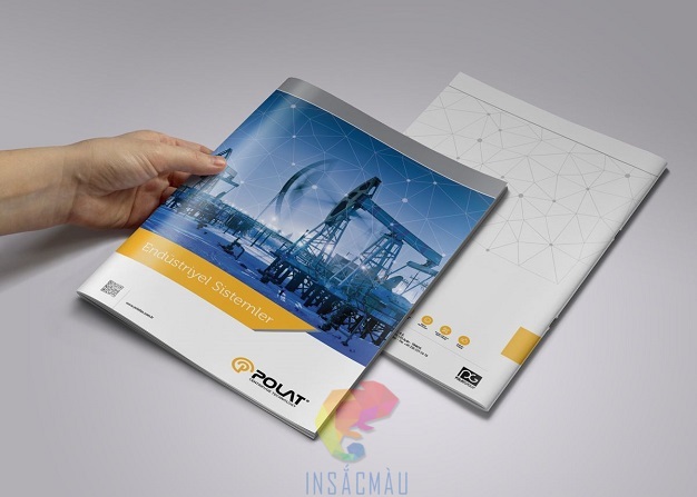 Mẫu hồ sơ năng lực công ty sang trọng