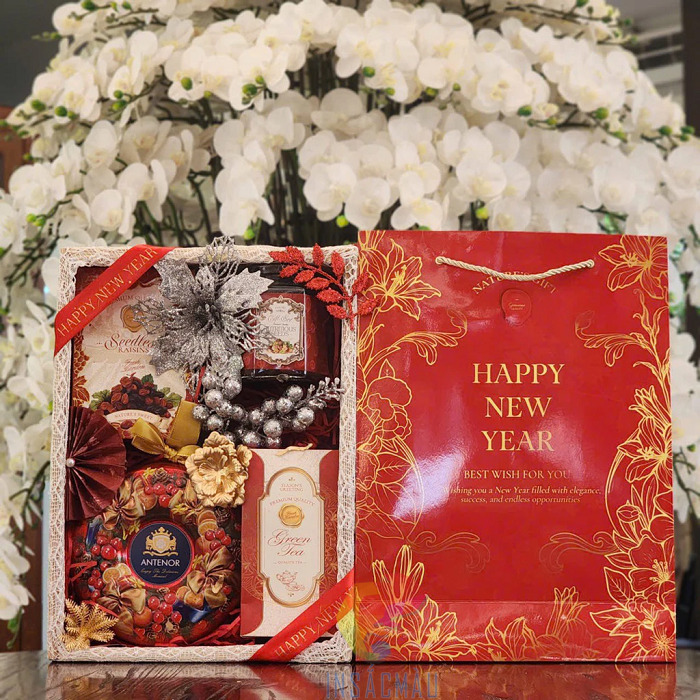 Mẫu túi giấy đựng quà Tết sang trọng