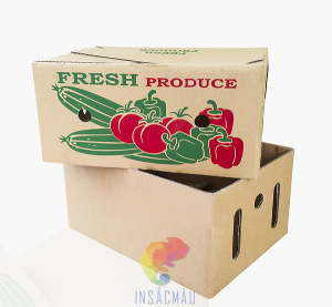 35+ Mẫu Thùng Carton Đẹp, Chất Lượng, Giá Rẻ Cho Nhiều Ngành Hàng