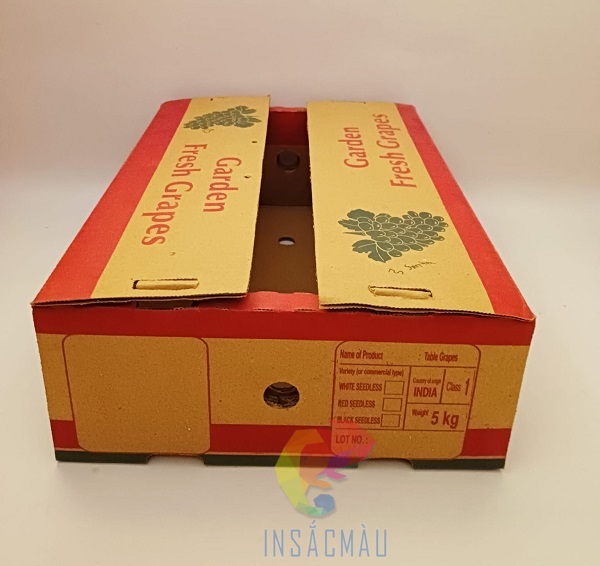 Mẫu bao bì thùng carton đựng nho