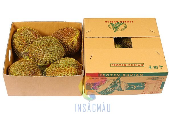 Mẫu bao bì thùng carton đựng sầu riêng