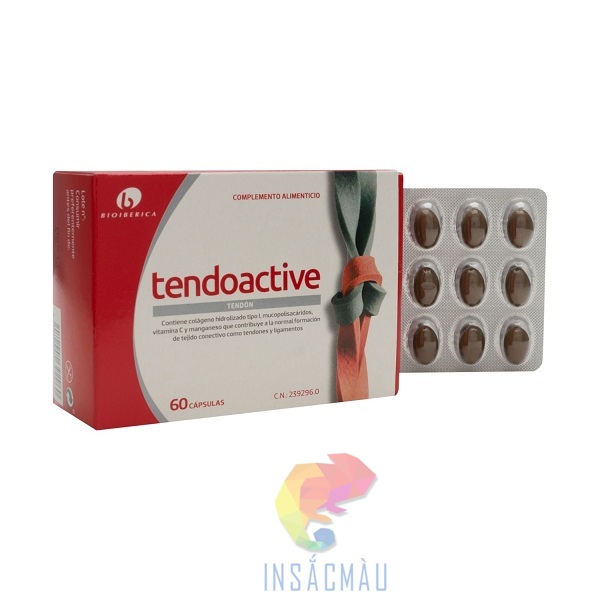 Mẫu bao bì giấy đựng thuốc