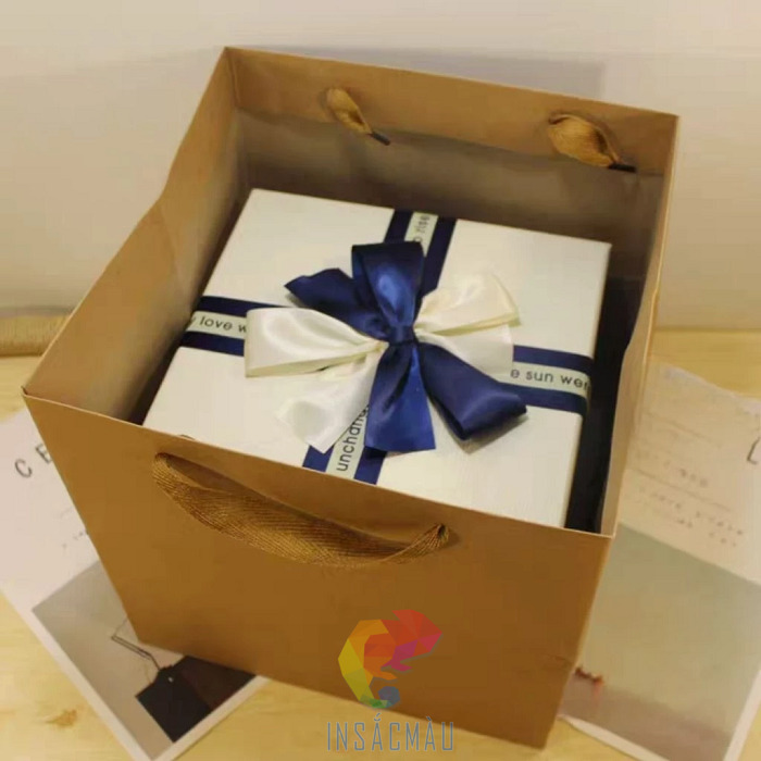 Mẫu túi giấy đáy vuông đựng hộp quà hình vuông