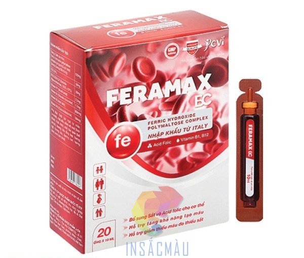 Mẫu hộp đựng dược phẩm bổ sung sắt FE