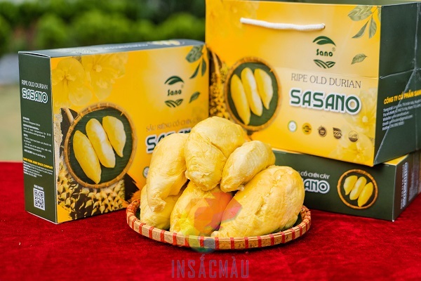 Lưu ý khi thiết kế, in ấn hộp giấy đựng sầu riêng