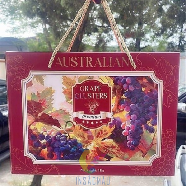 Mẫu hộp đựng nho khô có quai xách hai bên