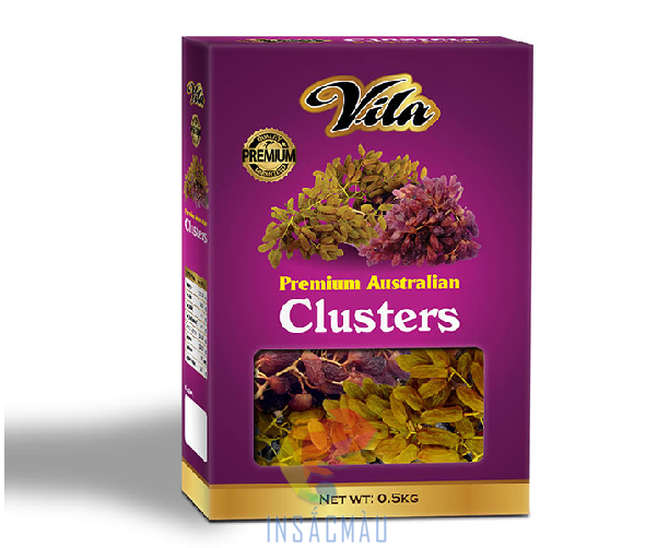 Mẫu bao bì đựng nho khô nắp gài