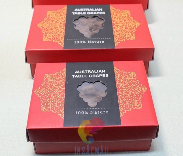 Mẫu hộp giấy đựng nho khô kiểu nắp âm dương