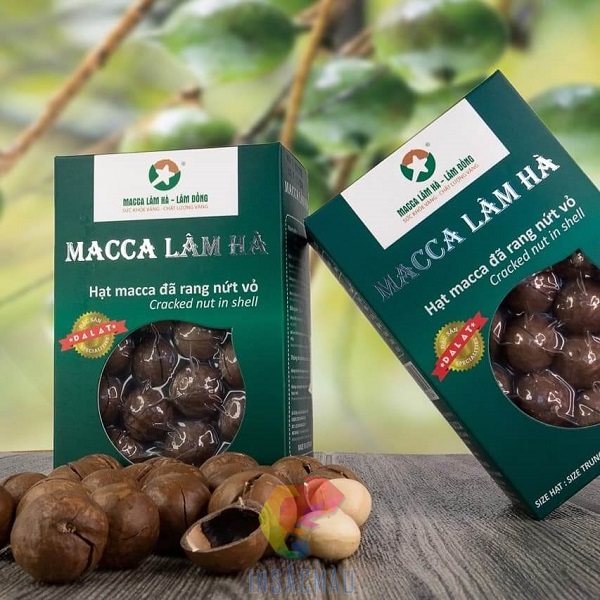 Mẫu hộp đựng hạt macca cao cấp, có cửa sổ