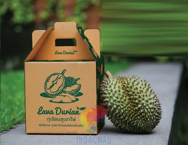 Mẫu hộp carton đựng sầu riêng nguyên trái nắp gài, có tay cầm tiện lợi