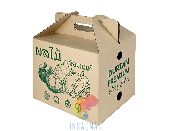 Mẫu hộp carton đựng sầu riêng nguyên trái nắp gài giữa