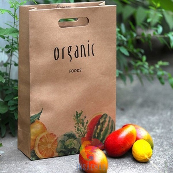 In Túi Giấy 46 Các dịch vụ in túi giấy giá rẻ tại In Sắc Màu