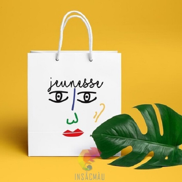 In Túi Giấy 85 Kinh nghiệm thiết kế và in túi giấy