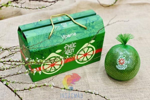 Mẫu hộp giấy carton bồi đựng bưởi