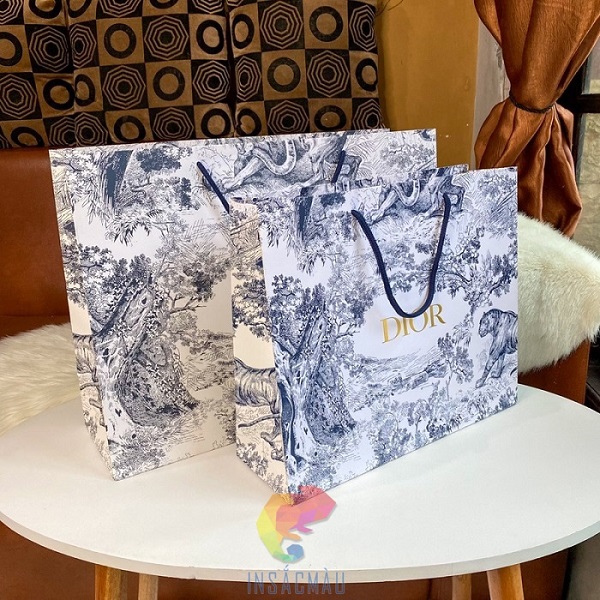 Mẫu túi giấy đựng quần áo thời trang thương hiệu Dior