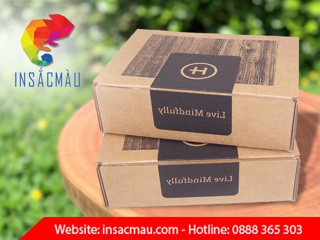 Mẫu hộp carton nắp gài cứng cáp