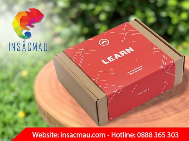 Mẫu hộp giấy carton nắp gài