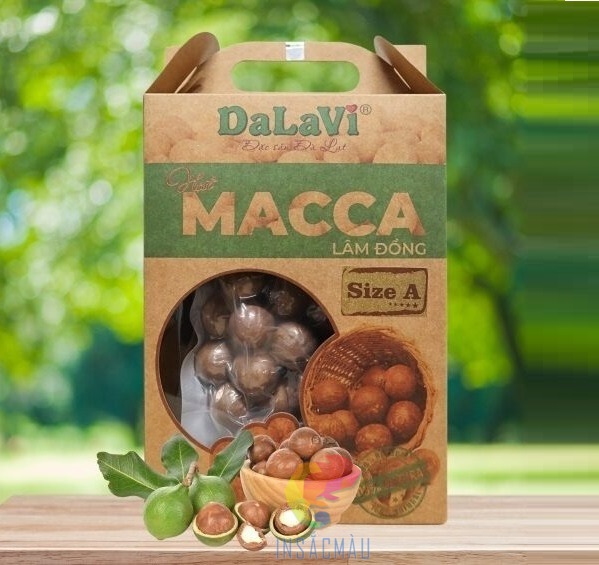 Mẫu hộp giấy đựng hạt macca