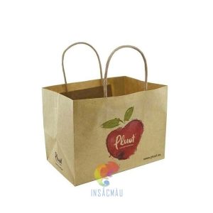 In Túi Giấy Đựng Hoa Quả