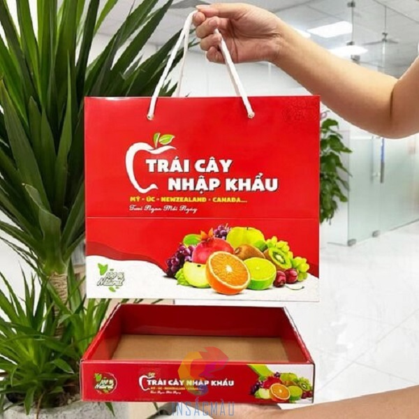 Mẫu túi đựng trái cây nhập khẩu bằng giấy ivory cao cấp